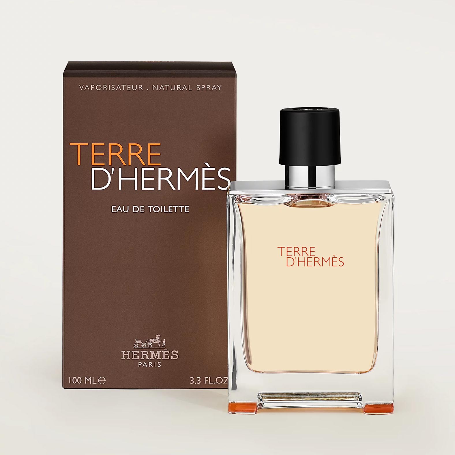 Hermes Terre D'Hermes EDT (100ml)